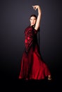 Spanish Flamenco dancer Royalty Free Stock Photo
