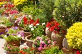 Spanish flowers garden detail in spain Royalty Free Stock Photo