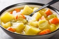 Spanish food Porrusalda Potato Leek Soup closeup in the plate. Horizontal Royalty Free Stock Photo