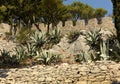 Spanish Fortress in Hvar town on island of Hvar, Croatia Royalty Free Stock Photo