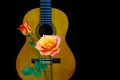 Spanish Guitar With Assorted Roses