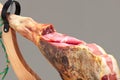 Spanish ham. Jamon Serrano Royalty Free Stock Photo