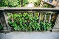 Spanish and Italian style architecture. Old stone wall and balcony with green plants Royalty Free Stock Photo