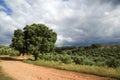 Spanish landscape