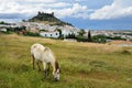 Spanish landscape with a castle and a horse Royalty Free Stock Photo