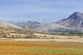 Spanish landscape in the morning Royalty Free Stock Photo