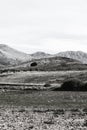 Spanish landscape in the morning Royalty Free Stock Photo