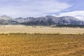 Spanish landscape in the morning Royalty Free Stock Photo