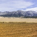 Spanish landscape in the morning Royalty Free Stock Photo