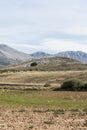 Spanish landscape in the morning Royalty Free Stock Photo