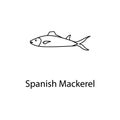 spanish mackerel icon. Element of marine life for mobile concept and web apps. Thin line spanish mackerel icon can be used for web