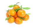 Spanish Mandarins