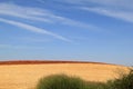 Spanish mowed and plowed fields in autumn