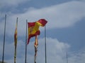 Spanish flags - Front view - Spain