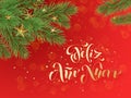 Spanish New Year Feliz Ano Nuovo greeting card decoration background