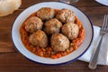 Spanish pisto (typical vegetables stew) with meatballs