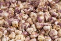 Spanish purple garlic on the market Royalty Free Stock Photo
