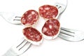 Spanish salami Royalty Free Stock Photo
