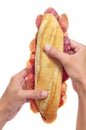 Spanish salami sandwich Royalty Free Stock Photo