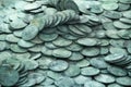 Spanish Silver coins recovered from the ocean floor