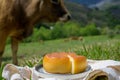 Delice de Bourgogne French cow's milk cheese from Burgundy region of France Royalty Free Stock Photo