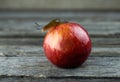 Spanish snail crawling on a red ripe apple. Royalty Free Stock Photo