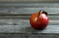 Spanish snail crawling on a red ripe apple. Royalty Free Stock Photo