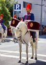 A Spanish soldier riding a white horse during a military parade in Granada