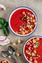 Spanish summer cold soup gazpacho with vegetables on concrete background. Royalty Free Stock Photo
