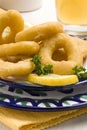 Spanish tapas. Fried squid rings. Royalty Free Stock Photo