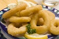 Spanish tapas. Fried squid rings. Royalty Free Stock Photo