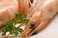 Spanish tapas. Shrimps in salt. Gambas saladas. Royalty Free Stock Photo