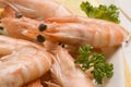 Spanish tapas. Shrimps in salt. Gambas saladas. Royalty Free Stock Photo