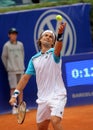 Spanish tennis player David Ferrer Royalty Free Stock Photo