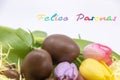 Spanish text Felices pascuas is Happy Easter written in Spanish very colorful to celebrate Easter