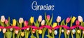 Banner With Colorful Tulip, Gracias Means Thank You, Easter Egg