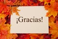 Spanish Thank You Greeting Card