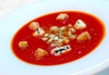 The Spanish tomato soup gazpacho Royalty Free Stock Photo