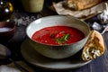 Spanish tomato soup gazpacho on a wooden background. Dark food photography Royalty Free Stock Photo