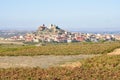 Spanish town with vineyards Royalty Free Stock Photo