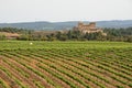 Spanish vineyards in Catalonia