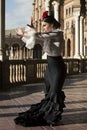 Spanish woman dancing flamenco dance in a beautiful monumental place