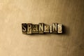 SPANKING - close-up of grungy vintage typeset word on metal backdrop