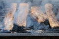 Spareribs on the Barbecue Grill