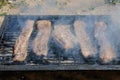 Spareribs on the Barbecue Grill