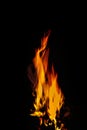 Sparking Camp Fire in the Night Royalty Free Stock Photo