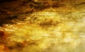 Sparkle ans shining bokeh on golden river or stream water surface with luxury romantic abstract background, natural surface or te