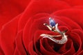 Sparkle ring in a red rose Royalty Free Stock Photo