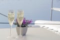 Sparkle wine or champagne and decorative succulent plant on front deck of catamaran sailing yacht