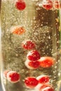 Sparkle wine in glass with red currant berries Royalty Free Stock Photo